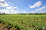 Images for Hargham Road, Old Buckenham