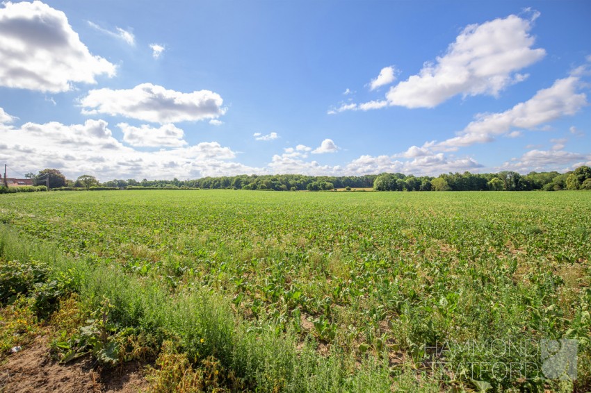 Images for Hargham Road, Old Buckenham