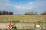 Images for Hardingham Road, Hingham