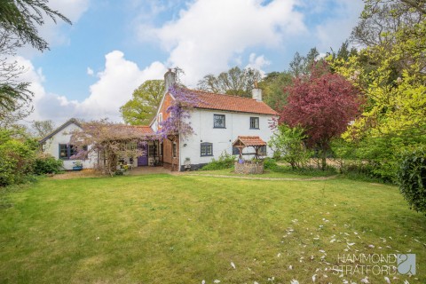 View Full Details for Long Lane, Mulbarton