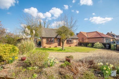 View Full Details for Hethel Road, Wreningham