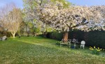 Images for Hall Moor Road, Hingham