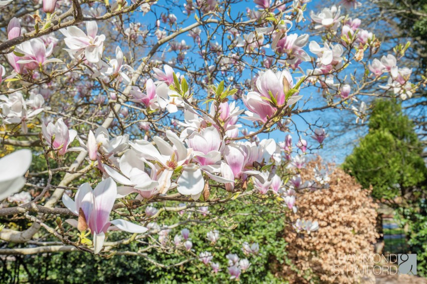 Images for Earlham Road, Norwich