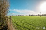 Images for The Moor, Banham