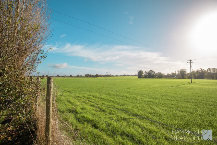 Images for The Moor, Banham