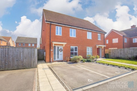 View Full Details for Pipistrelle Street, Hethersett