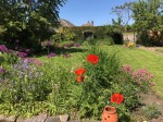Images for Lyhart Road, Eaton Rise