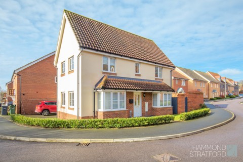 View Full Details for Freesia Way, Cringleford