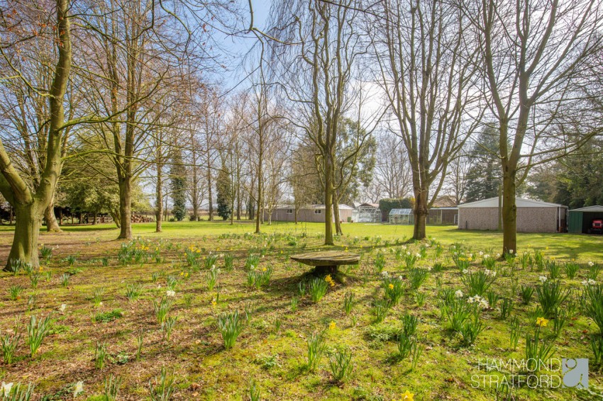 Images for Buxton Road, Cawston