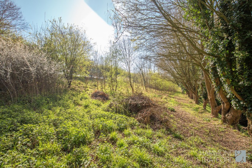 Images for Norwich Road, Stoke Holy Cross