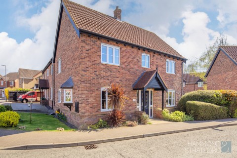 View Full Details for Bryony Way, Attleborough