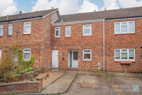View Full Details for Pennyroyal, Norwich