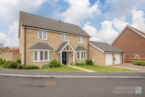 View Full Details for Bobbins Way, Swardeston