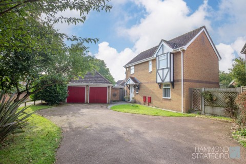 View Full Details for Ambleside, Hethersett