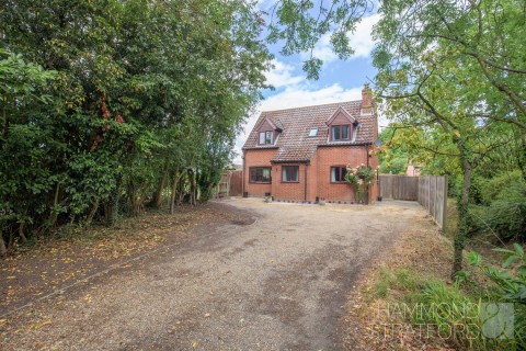 View Full Details for Rectory Lane, Bunwell