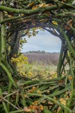 Images for School Lane, Besthorpe