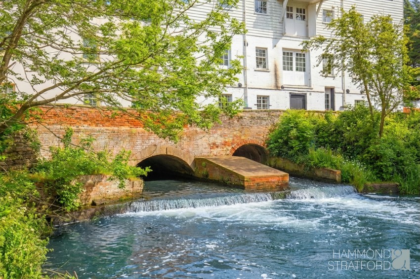 Images for The Street, Lamas