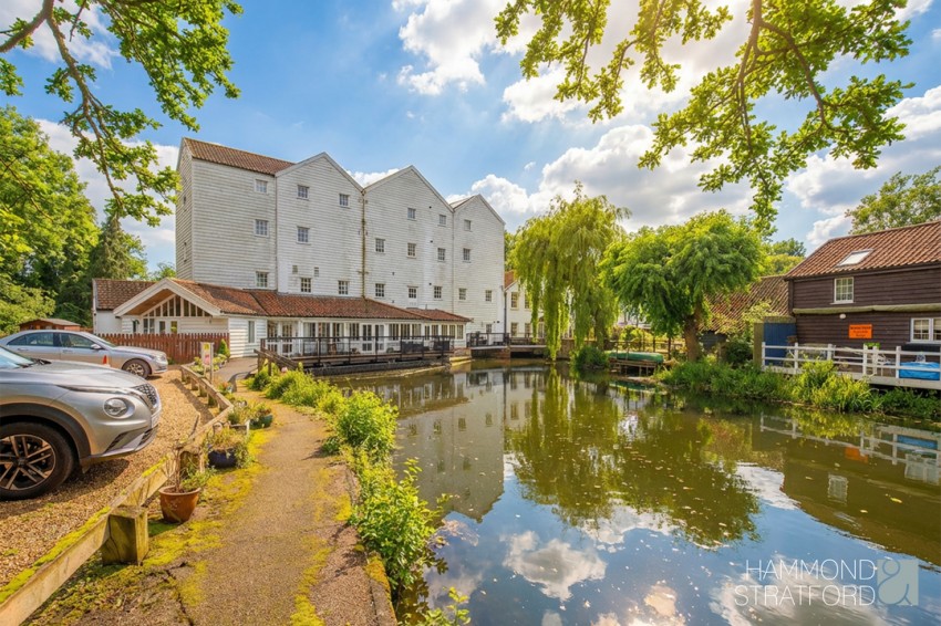 Images for The Street, Lamas