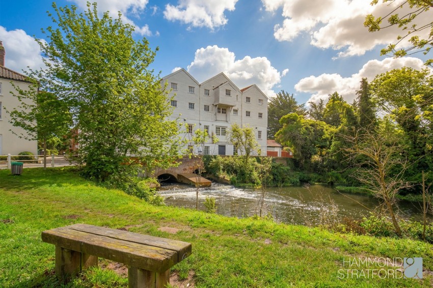 Images for The Street, Lamas