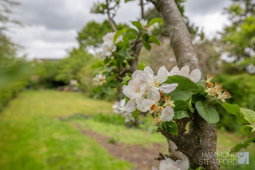 Images for Intwood Road, Cringleford