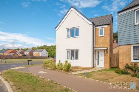 View Full Details for Reeve Way, Wymondham