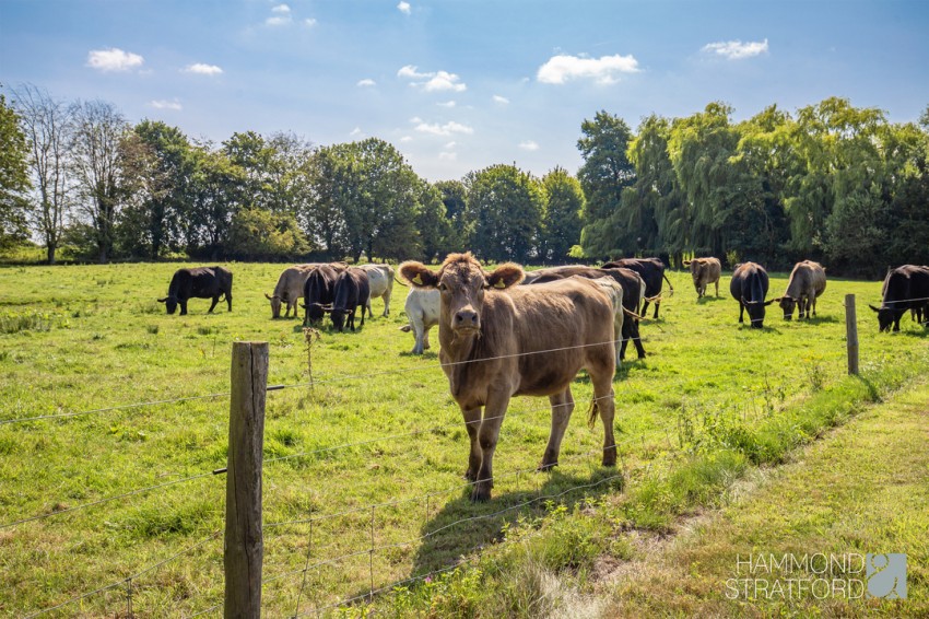 Images for Church Road, Wilby