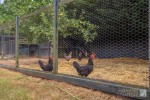 Images for Silfield Road, Wymondham