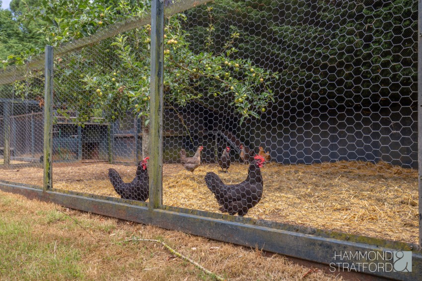 Images for Silfield Road, Wymondham