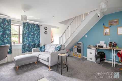 View Full Details for Rayners Way, Mattishall