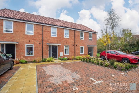 View Full Details for Carnation Close, Attleborough