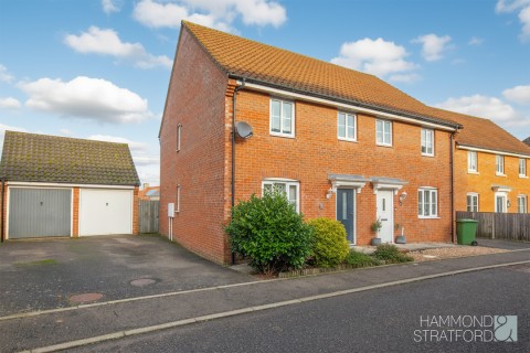 View Full Details for Tummel Way, Attleborough