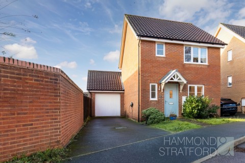 View Full Details for Freesia Way, Cringleford