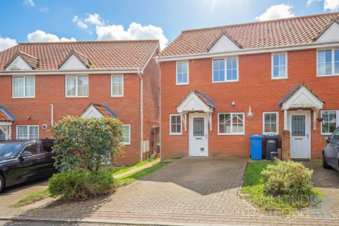 View Full Details for Mardle Street, Norwich