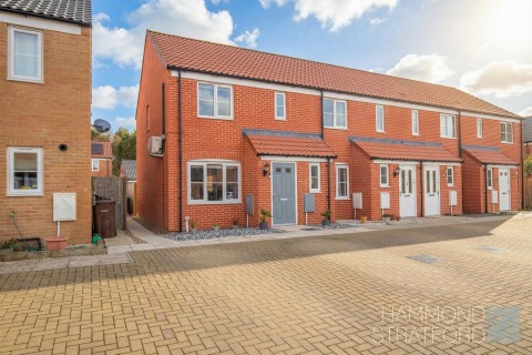 View Full Details for Catlyn Place, Wymondham