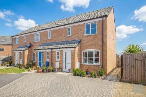 View Full Details for Catlyn Place, Wymondham