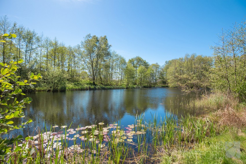 Images for Land off Long Street, Great Ellingham