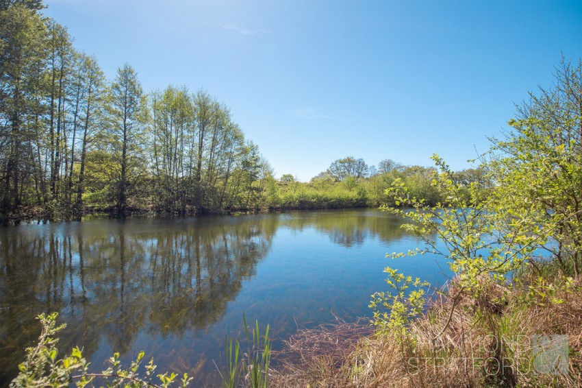 Images for Land off Long Street, Great Ellingham