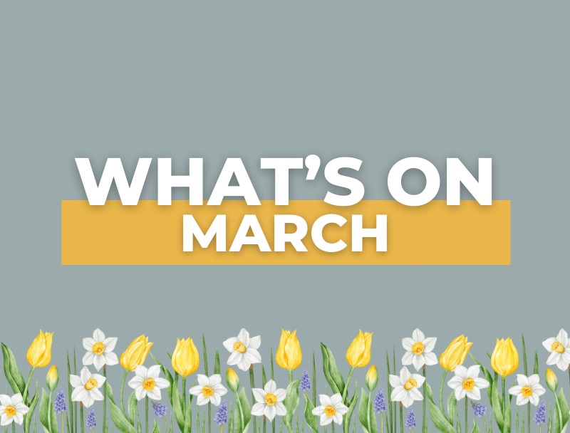 WHAT'S ON IN NORFOLK, MARCH 2024